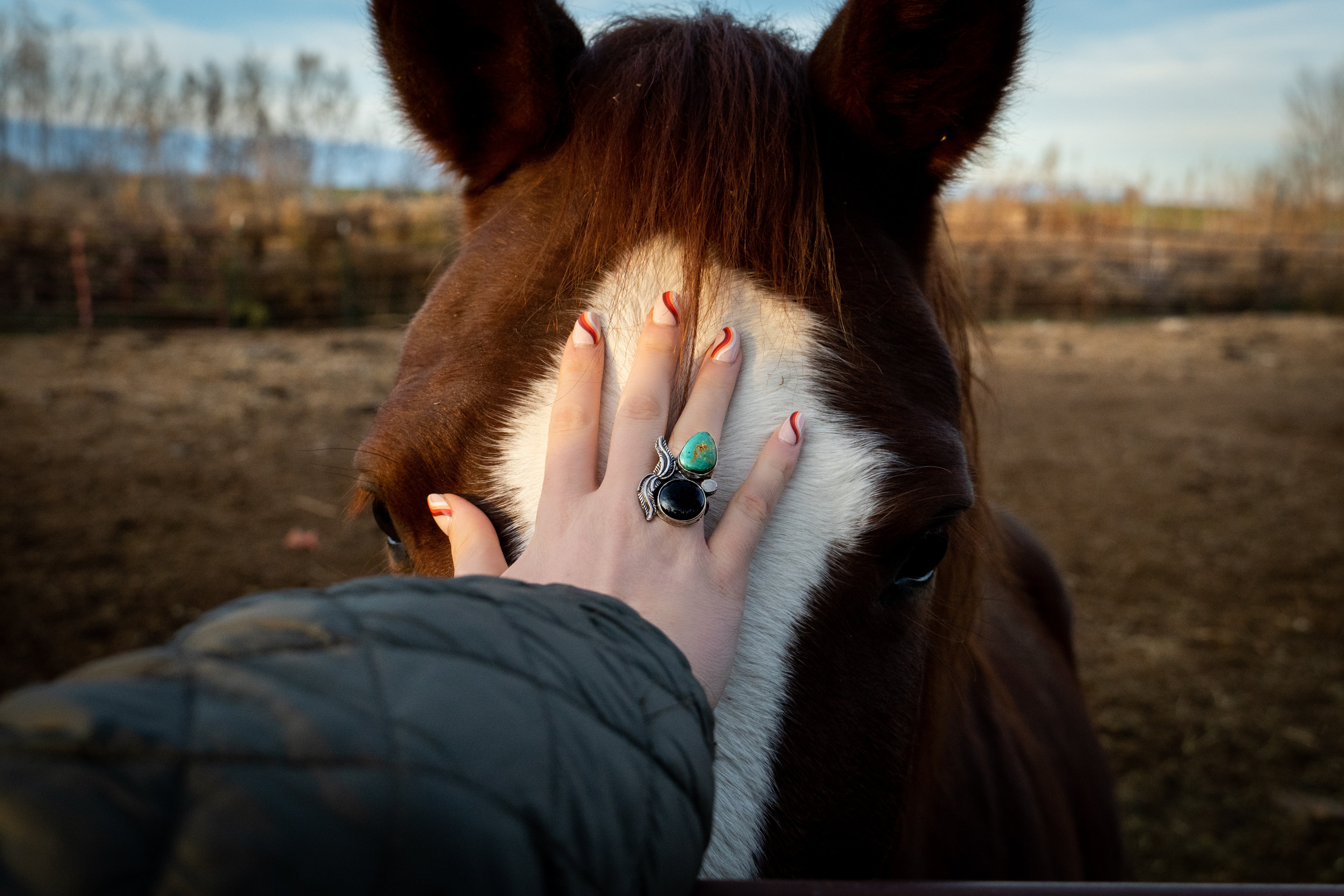 Onyx & Turquoise Feather Ring